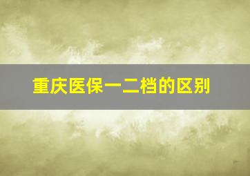 重庆医保一二档的区别