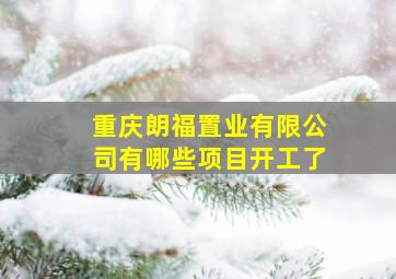 重庆朗福置业有限公司有哪些项目开工了