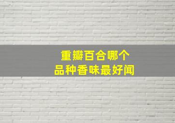 重瓣百合哪个品种香味最好闻