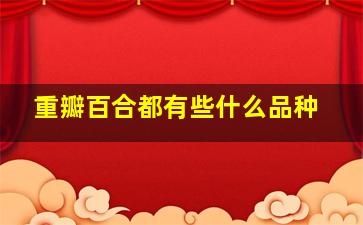 重瓣百合都有些什么品种