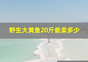 野生大黄鱼20斤能卖多少