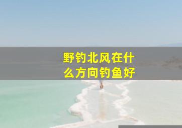 野钓北风在什么方向钓鱼好