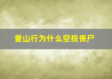 釜山行为什么空投丧尸