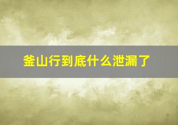 釜山行到底什么泄漏了