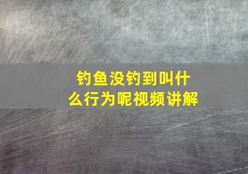 钓鱼没钓到叫什么行为呢视频讲解