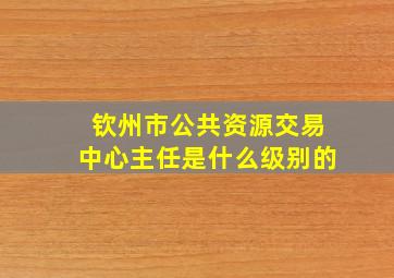 钦州市公共资源交易中心主任是什么级别的