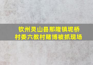 钦州灵山县那隆镇坭桥村委六教村赌博被抓现场