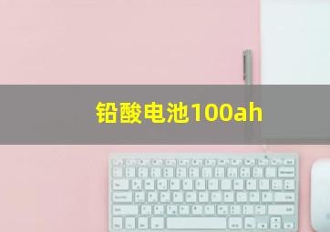 铅酸电池100ah