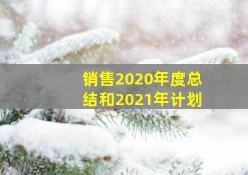 销售2020年度总结和2021年计划