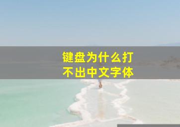 键盘为什么打不出中文字体