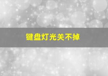 键盘灯光关不掉