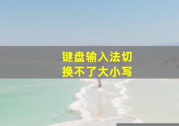 键盘输入法切换不了大小写