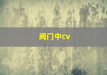 阀门中cv