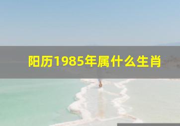 阳历1985年属什么生肖