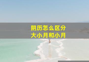 阴历怎么区分大小月和小月