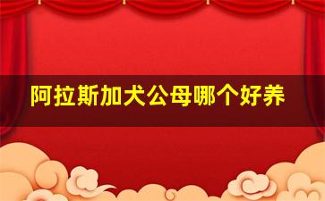 阿拉斯加犬公母哪个好养