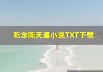 陈念陈天道小说TXT下载