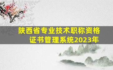 陕西省专业技术职称资格证书管理系统2023年