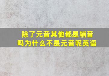 除了元音其他都是辅音吗为什么不是元音呢英语