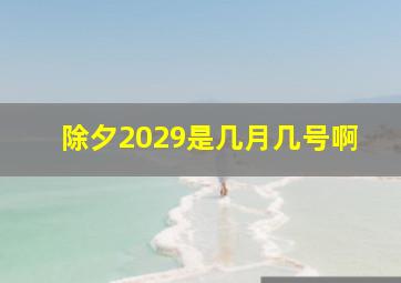 除夕2029是几月几号啊