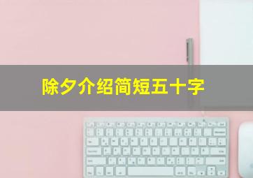 除夕介绍简短五十字