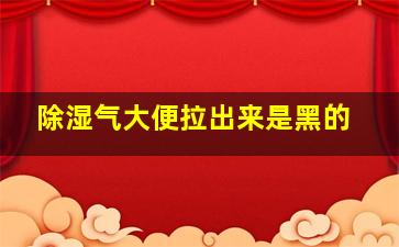 除湿气大便拉出来是黑的