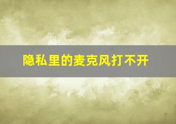 隐私里的麦克风打不开