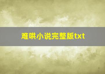 难哄小说完整版txt