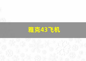 雅克43飞机