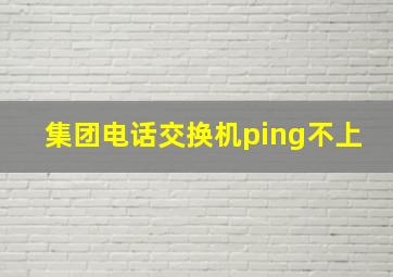 集团电话交换机ping不上