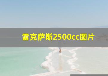 雷克萨斯2500cc图片