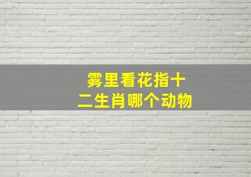 雾里看花指十二生肖哪个动物