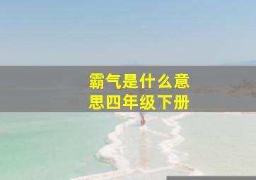 霸气是什么意思四年级下册