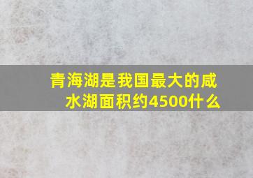 青海湖是我国最大的咸水湖面积约4500什么