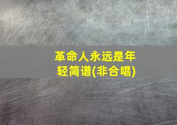 革命人永远是年轻简谱(非合唱)