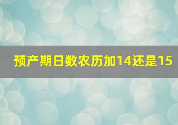 预产期日数农历加14还是15