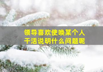 领导喜欢使唤某个人干活说明什么问题呢