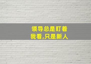 领导总是盯着我看,只是新人