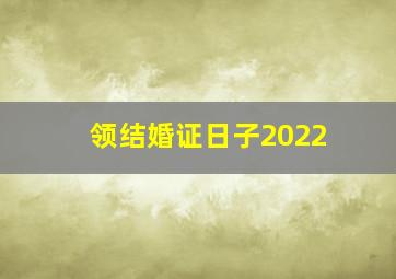 领结婚证日子2022