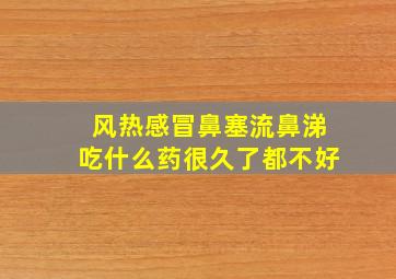 风热感冒鼻塞流鼻涕吃什么药很久了都不好