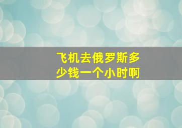 飞机去俄罗斯多少钱一个小时啊