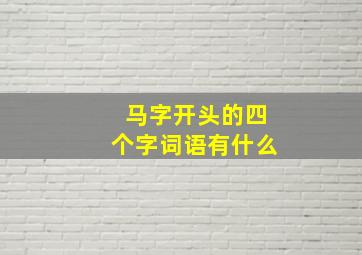 马字开头的四个字词语有什么