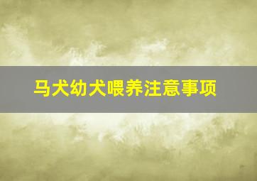 马犬幼犬喂养注意事项