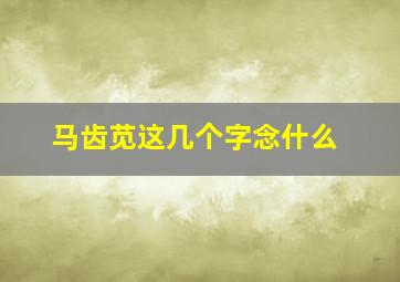 马齿苋这几个字念什么