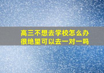 高三不想去学校怎么办很绝望可以去一对一吗