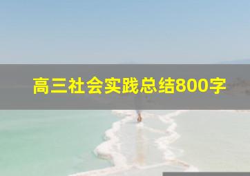 高三社会实践总结800字