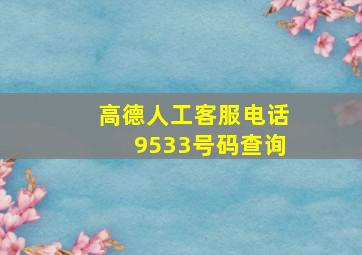 高德人工客服电话9533号码查询