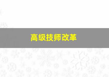 高级技师改革