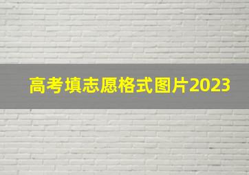 高考填志愿格式图片2023