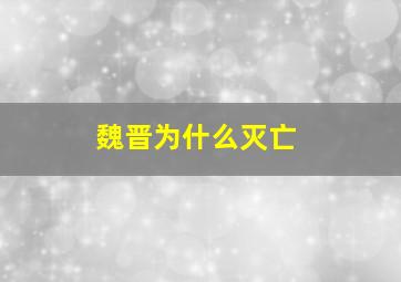 魏晋为什么灭亡